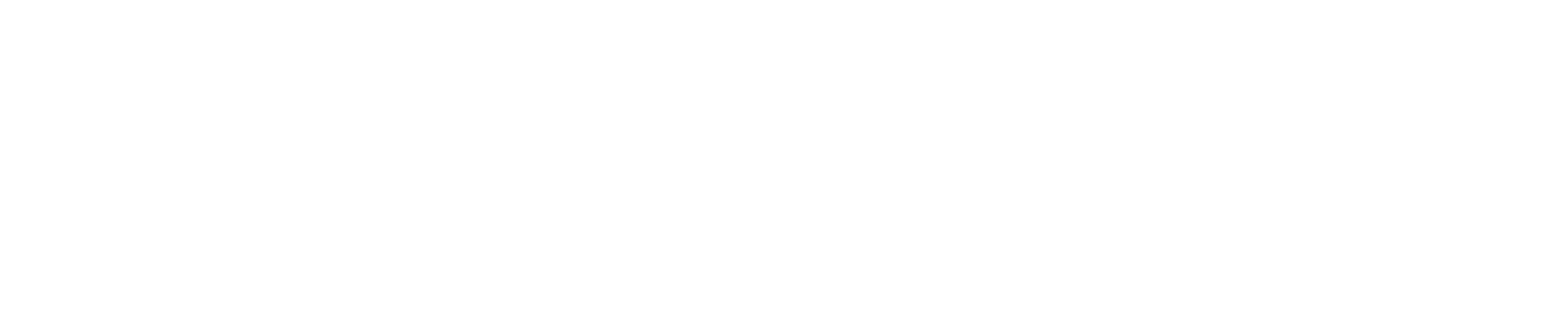 VGRD FLEET part of Volkswagen Group Retail Deutschland